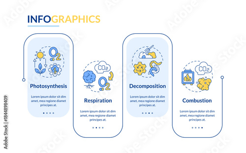 Carbon processing cycle rectangle infographic vector. Organic waste, trash reprocessing. Data visualization with 4 steps. Editable rectangular options chart. Lato-Bold, Regular fonts used