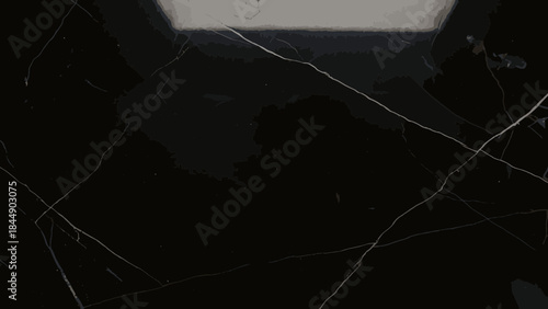 A close-up view of a dark, possibly black, marble or stone surface with intricate white veins and subtle variations in texture.