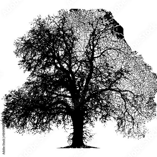 Silhouette of a tree with dense branches and a detailed network pattern on the right side of the crown