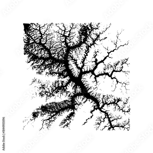 Monochrome abstract fractal pattern resembling branching veins or river tributaries on white background