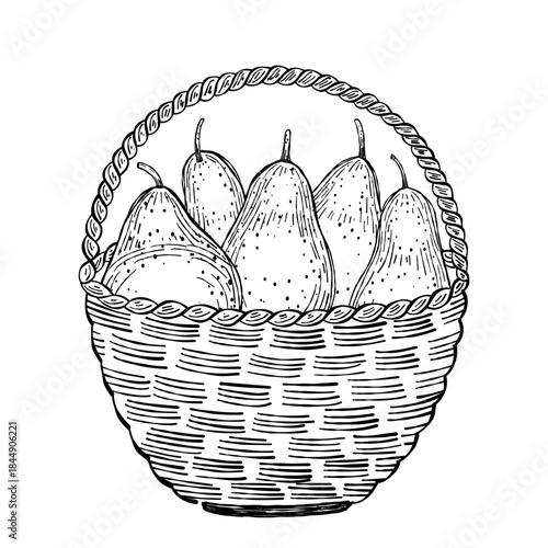Vector illustration of hand-drawn pears in a basket, detailed in black and white line art. Suitable for posters, packaging, markets, and vintage-style prints