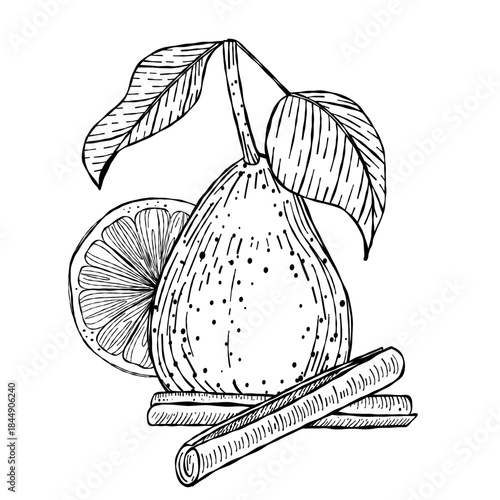 Vector illustration of hand-drawn pear with cinnamon and lemon slice in black and white line art. Perfect for food prints, drink labels, and culinary art