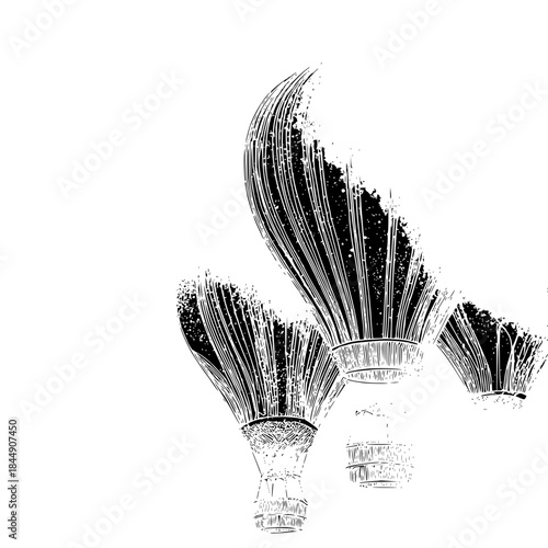Three hot air balloons in black and white with detailed line work against a plain white background image