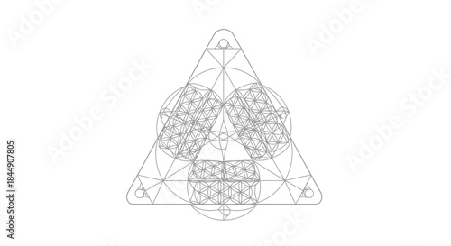 Geometric triangle shape with flower of life pattern complex mathematical forms