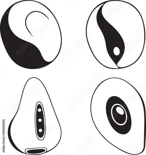 Stylish vector silhouettes of abstract organic seeds, highlighting unique internal structures in a clean black and white minimalist design, perfect for botanical graphic elements