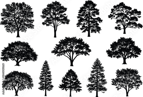 A diverse collection of tree silhouettes representing various deciduous and coniferous species