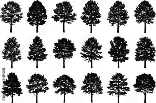 A comprehensive collection of diverse tree silhouettes perfect for graphic design projects