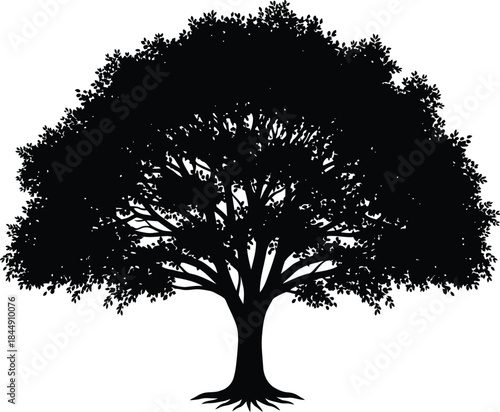 A large, broad tree silhouette with detailed branches and roots standing alone on a white background