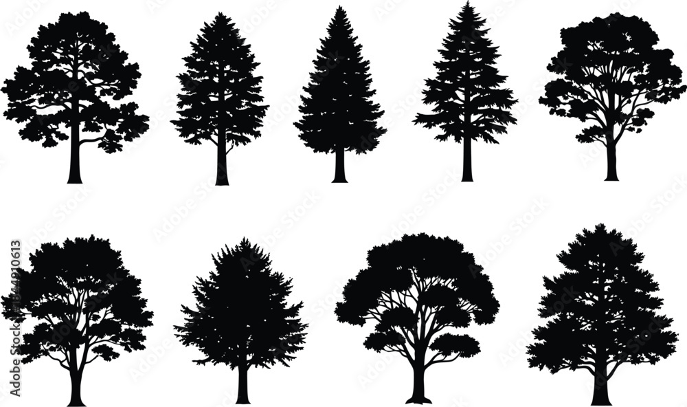 Fototapeta premium A collection of various tree silhouettes including deciduous and coniferous species