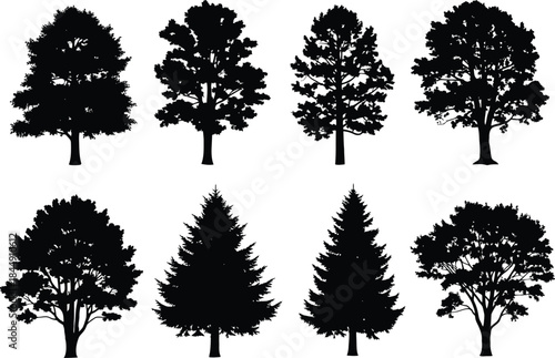 Eight diverse tree silhouettes including broadleaf and coniferous varieties set on white background