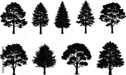A collection of various tree silhouettes including deciduous and coniferous species
