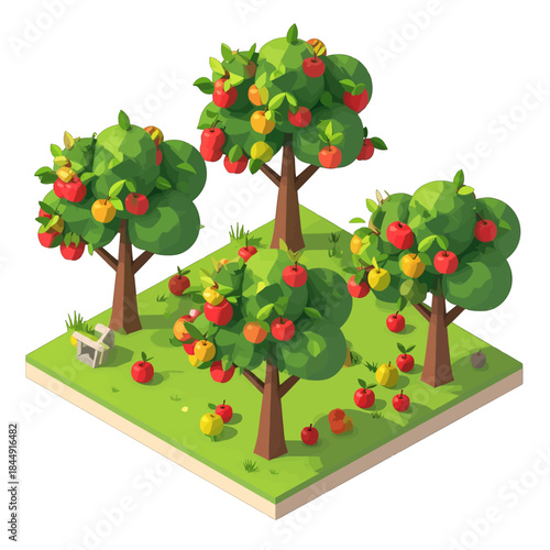 Vibrant isometric orchard with three lush green apple trees laden with red and yellow fruit scattered across a grassy field with small fallen apples on a white background.