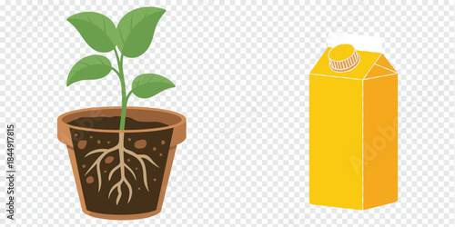 Minimal Plant Growth and Milk Carton Flat Illustration Concept