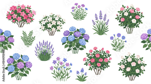 Vibrant botanical floral arrangements and colorful garden blossoms with a black background for artistic designs and botanical illustrations