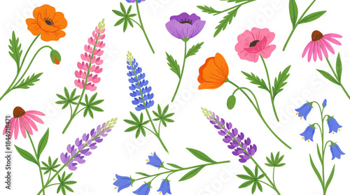 Vibrant floral pattern with diverse wildflowers and lush greenery on black background ideal for minimalistic design projects