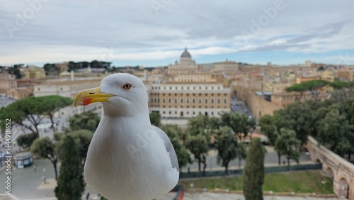 Fototapeta Naklejka Na Ścianę i Meble -  Rome, Italy – 12 January 2025. A seagull in sharp focus sits at Castel Sant’Angelo with St. Peter’s Basilica and the tree-lined streets of Rome softly blurred in the background.