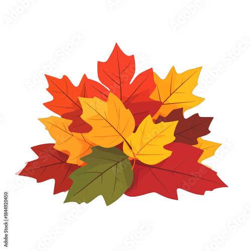 Pile of Autumn Leaves in Red Orange Yellow and Green Hues with Detailed Veins and Jagged Edges on White Background