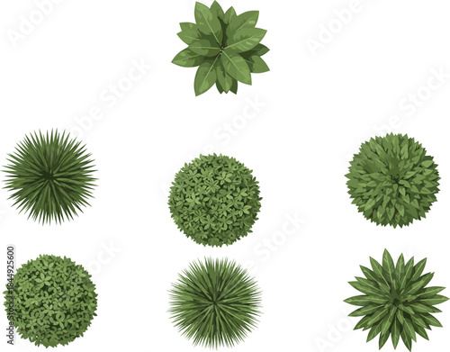 Top-down vector set of green plants and shrubs with unique foliage styles for landscape design, mapping, and architectural visualization use.