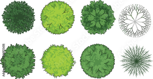 Top-down vector set of trees and shrubs with varied foliage styles for landscape design, mapping, gardening, and architectural visualization use.