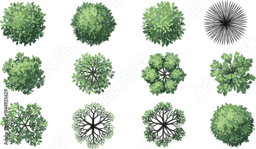 Top-down vector set of tree and shrub canopies with diverse foliage styles for landscape design, mapping, garden, and architecture use.