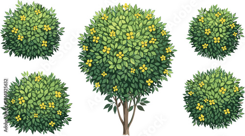 Top-down vector set of green bushes with yellow flowers for garden design, landscaping, mapping, and architectural visualization projects.