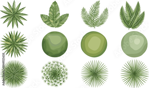 Top-down vector set of tree and plant structures showing foliage, canopy, and leaf patterns for landscape, garden, and mapping design.