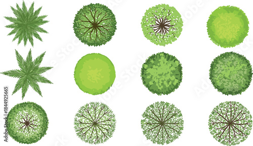 Top-down vector set of trees and shrubs with varied foliage styles for landscape design, mapping, gardening, and architectural visualization.