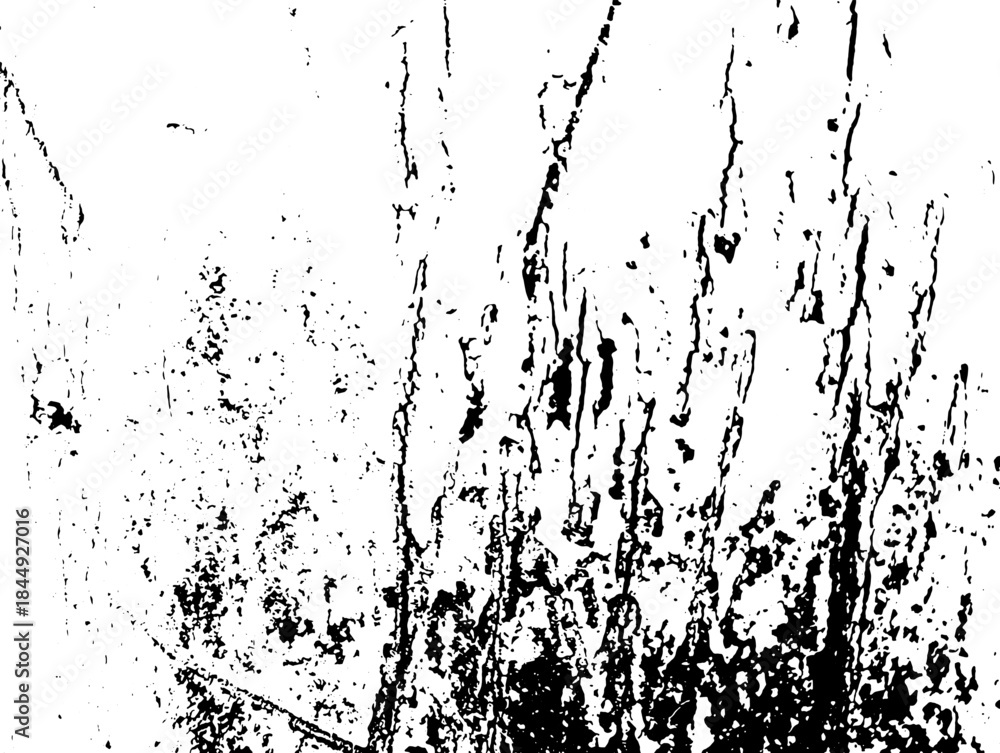 Fototapeta premium Black and white abstract background with scratches and grunge texture EPS10.