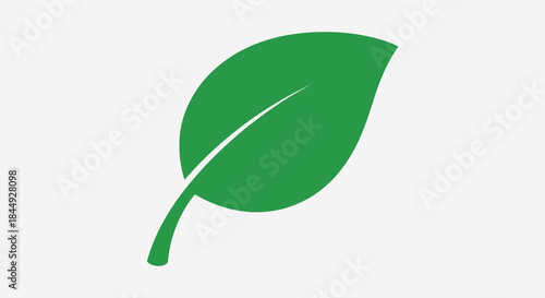 Green leaf icon with transparent background