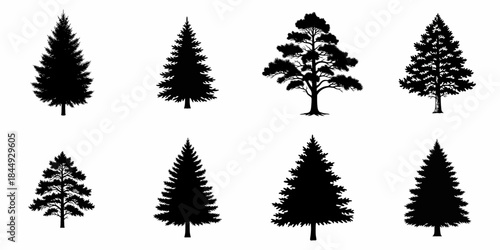 Collection of eight black silhouettes of various coniferous and evergreen trees including pine and spruce, isolated on a white background for nature design elements.