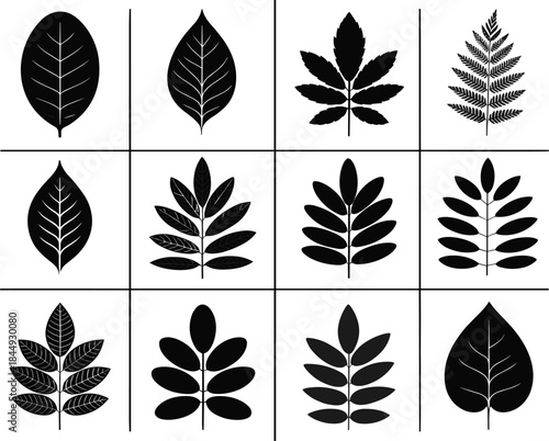 Minimalist Black Silhouette Vector Icon Set of Twelve Diverse Leaf Shapes and Botanical Elements, Including Simple Ovals, Compound Leaves, and Fern Fronds, Ideal for Nature and Design Graphics.
