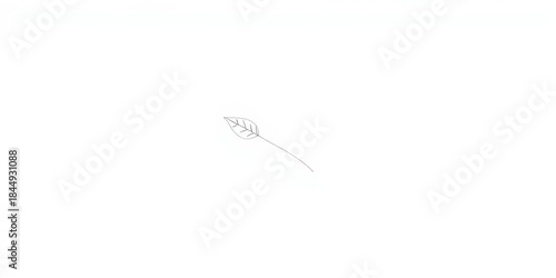 Simple line drawing of a single leaf, minimalist style, botanical illustration,   fall,  environment