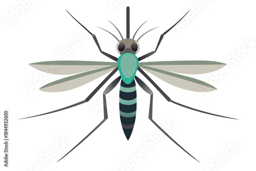 Mosquito Line Drawing Vector – Detailed Insect Outline Illustration for Science and Education