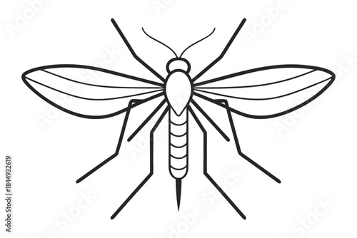 Mosquito Line Drawing Vector – Detailed Insect Outline Illustration for Science and Education