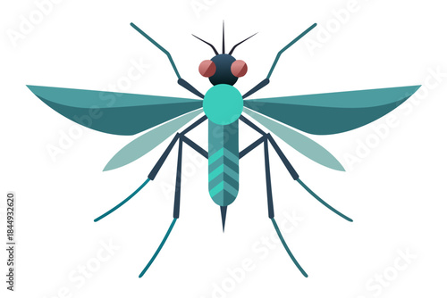 Mosquito Line Drawing Vector – Detailed Insect Outline Illustration for Science and Education