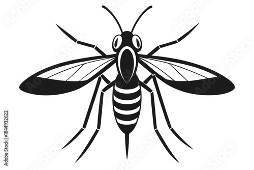 Mosquito Line Drawing Vector – Detailed Insect Outline Illustration for Science and Education