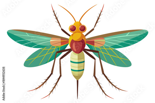 Mosquito Line Drawing Vector – Detailed Insect Outline Illustration for Science and Education