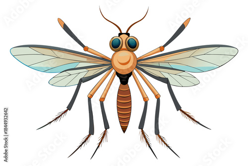 Mosquito Line Drawing Vector – Detailed Insect Outline Illustration for Science and Education