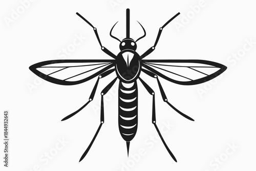 Mosquito Line Drawing Vector – Detailed Insect Outline Illustration for Science and Education