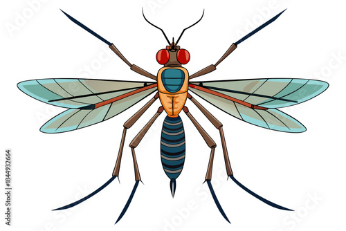 Mosquito Line Drawing Vector – Detailed Insect Outline Illustration for Science and Education