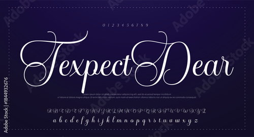 
Signature Font Uppercase Lowercase And Number. Script Font Calligraphy Logotype elegant Font Type Font lettering handwritten. vector illustration  