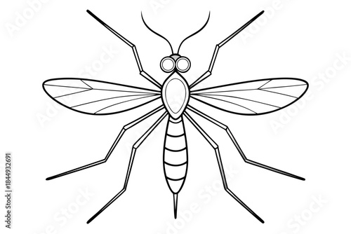 Mosquito Line Drawing Vector – Detailed Insect Outline Illustration for Science and Education