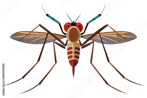 Mosquito Line Drawing Vector – Detailed Insect Outline Illustration for Science and Education