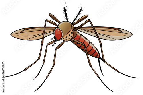 Mosquito Line Drawing Vector – Detailed Insect Outline Illustration for Science and Education
