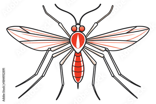 Mosquito Line Drawing Vector – Detailed Insect Outline Illustration for Science and Education