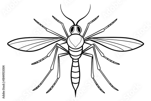 Mosquito Line Drawing Vector – Detailed Insect Outline Illustration for Science and Education