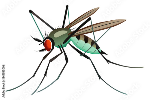 Mosquito Line Drawing Vector – Detailed Insect Outline Illustration for Science and Education