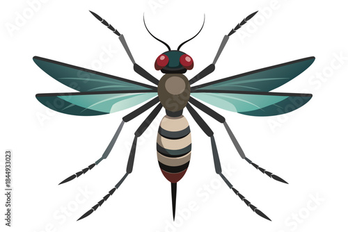 Mosquito Line Drawing Vector – Detailed Insect Outline Illustration for Science and Education