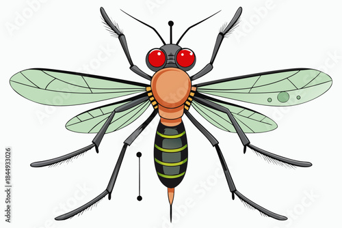 Mosquito Line Drawing Vector – Detailed Insect Outline Illustration for Science and Education