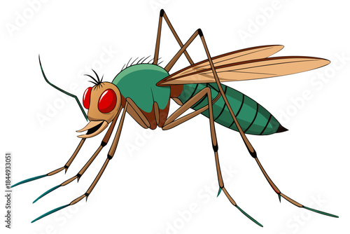 Mosquito Line Drawing Vector – Detailed Insect Outline Illustration for Science and Education
